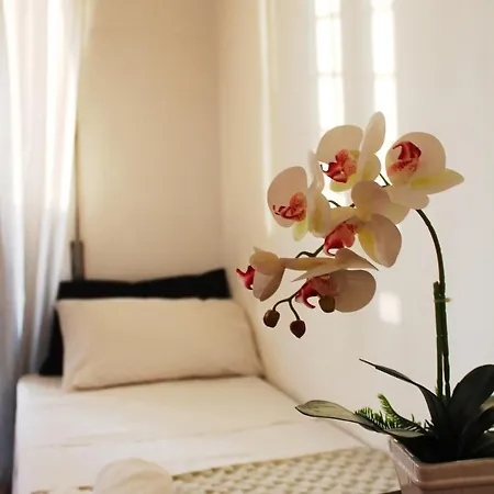 Гостевой дом Milus'home *